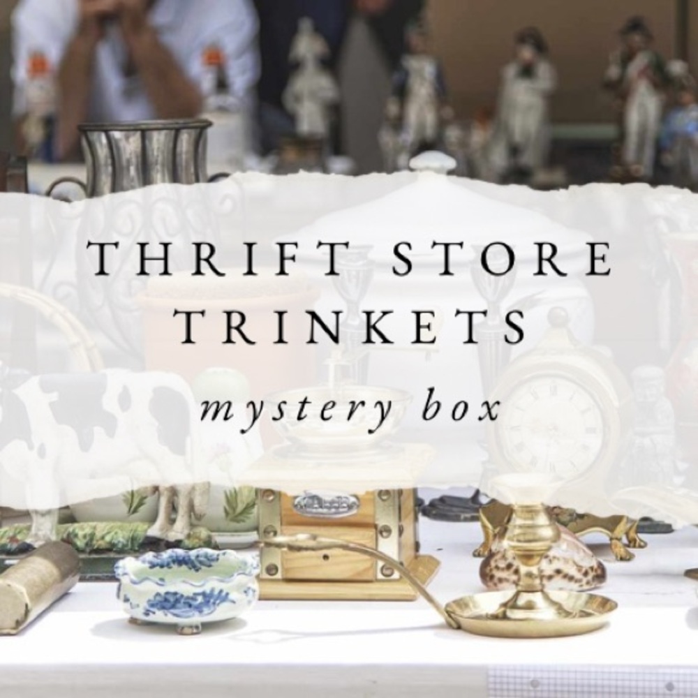 Thrift Store Trinkets Mystery Box